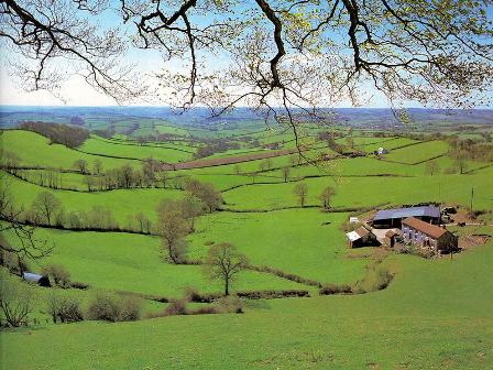 Paisaje de la campi&ntilde;a inglesa
